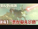 悪かねぇ景色【ゴロンシティ編】#41