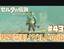 男子禁制！ゲルドの街！【ゲルド砂漠編】#43