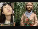 【たなか】座敷荒らし(わらし)