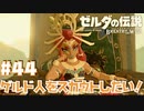 潜入！"ダ"をスカウトせよ！【ゲルド砂漠編】#44