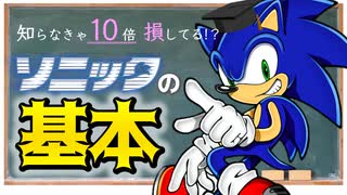 【知れば10倍おもしろい！】ガチ勢が語る ソニックの基礎