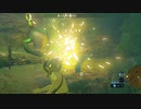 【ボイスピ実況】依頼を受けて、燃えずの試練を最初から森人武器を持った状態で開始してみた【ドリカラ】【ブレワイ,ゼルダの伝説ブレスオブザワイルド,BotW,ゼル伝】
