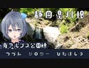 -静岡県井川 南アルプス公園線-[つづみソロツーひたはしり season1]