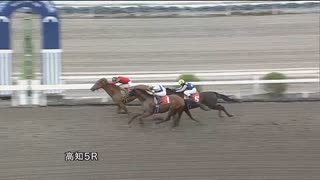 2022年9月3日高知競馬5R 仁淀川特別(準重賞・B級以下) ジョウショーモード
