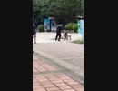 ホモと見る中国のグール