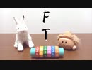 FT