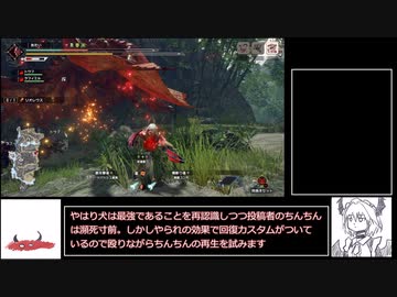 傀異討究Lv100リオレウス　6’21”89　片手剣　【MHサンブレイク】