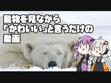 動物を見ながら「かわいい」というだけの動画