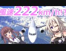 命を懸けて飛ぶIAちゃん航空【MSFS】