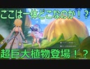【原神】原神のんびり実況64【Genshin Impact】