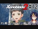 【ゼノブレ2初見実況Part12】ヴァンダムさんが遺していった物【小窓屋巧弥/Xenoblade2/ゼノブレイド2】