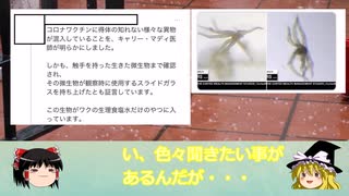 【ゆっくり解説】反ワク「ワクチンに寄生虫が入ってる！！」陰謀論者の主張が激しすぎる件について