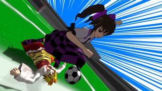 【東方MMD】キャプテン村紗Ⅱ　ゲーム10『山からの挑戦者！　vs.玄武東』【超格闘サッカーアクション】