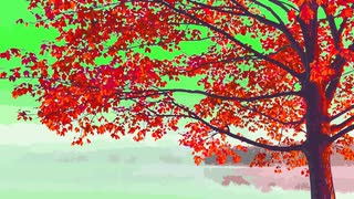 #home Tiyuri Chiyuri