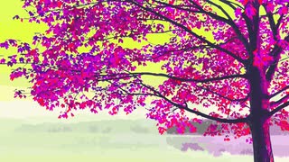 #home Tiyuri Chiyuri