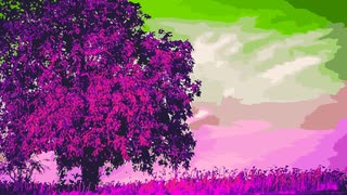 #home Tiyuri Chiyuri