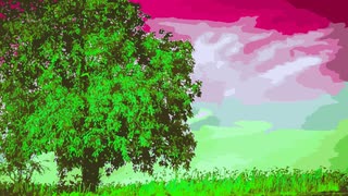#home Tiyuri Chiyuri