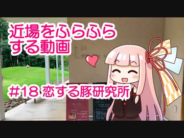 近場をふらふらする動画 #18 恋する豚研究所