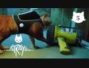 【初見実況】猫好きの猫飼い、猫になる。【Stray】＃05