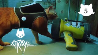 【初見実況】猫好きの猫飼い、猫になる。【Stray】＃05