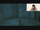 【Stray】ゲームセンターわらじ第29回アーカイブ