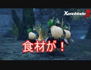 食材が盗まれましたも！　ゼノブレイド3実況プレイPart33