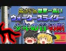 【2016年ｱﾒﾘｶ】世界で一番高いウォータースライダーに乗り込んだ少年  首に大けがを負い亡くなる「フェアリュクト少年〇亡事故」【ゆっくり解説】