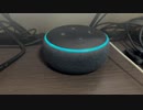 【ALEXA】今日のアレクサ 2022/09/04 テーマパーククイズ