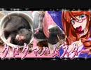 ゆるふわ　クロクマハムスター。13