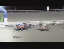 2022年9月4日高知競馬11R ＪＢＣ２０２２盛岡・門別まであと６０日 サファイア特別(A-1組) カバジェーロ