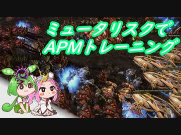 ずんだもんはマクロ厨 5【スタークラフト2 2v2】