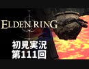 【初見実況】エルデンリング 第111回【手汗かき人が逝く】