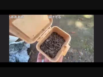 【閲覧注意】1年間冷蔵庫で保管されていたイソメの開封