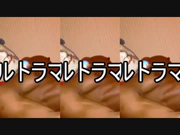 パッヘルベルの怪文書のカノン