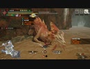 【MHRise:SB】第6回非公式狩猟大会 タマミツネ韋駄天杯 狩猟笛部門