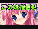 【紳士向け】#63　高等テクニックを駆使して欲望を満たす妹【妹ぱらだいす！】