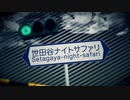 【初投稿】世田谷ナイトサファリ/none.【歌ってみた】