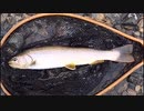 ほーじのアウトドアin岐阜＿サツキマスを釣りに行ったら…