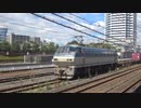 【少なく】EF66116牽引貨物列車吹田通過(20220902)【なりました】