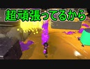 【日刊スプラトゥーン2】全ルールランキング入りしたダイナモ使いのガチマッチ実況Season53-2【Xパワー2448ホコ】ダイナモローラーテスラ/ウデマエX/ガチホコ