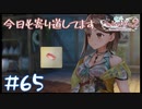 【ゲーム実況】最近雨ばっかなんだが(´_ゝ｀)【ライザのアトリエ２】#65