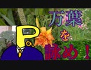 短歌の公募に応募しよう！～全国万葉短文学誌上大会編～