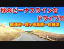 車載動画　長野　ビーナスライン!!　秋のドライブ　和田峠～霧ヶ峰高原～白樺湖　ドライブ　4K映像　GoPro撮影