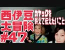 西伊豆大冒険#47