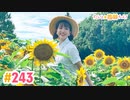 【高画質】すごいよ☆花林ちゃん！ 第243回