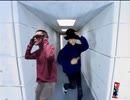 Virtual Insyamunity