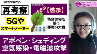 【8/3の啓示の再考察】今！集合住宅に忍びよる電磁波の魔の手！スマートメーターなど！