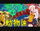 【EU4実績】神権アニミズム動物園開園！最弱宗教でインド無双！~The Animal Kingdom動物王国~