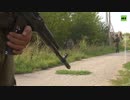 ロシアメディア動画 / 幕内弁当風詰め合わせ(八月末〜九月初頭）