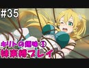 【SAOFB】VRMMO＝ヴァーチャルリアリティ萌え萌えオンライン#35【ソードアートオンラインフェイタルバレット】